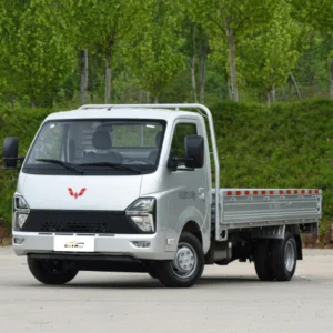 Wuling Longka delantero izquierdo