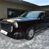 Hongqi Guo Li delantero izquierdo