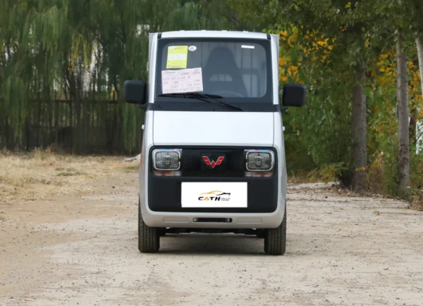 Wuling E10 front face