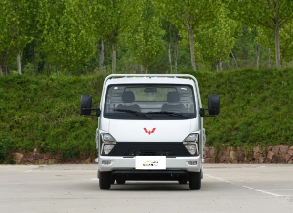 Wuling Longka front face