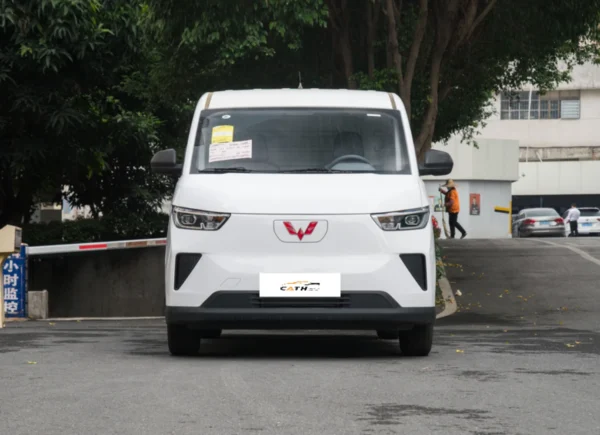 Face avant de Wuling Yangguang