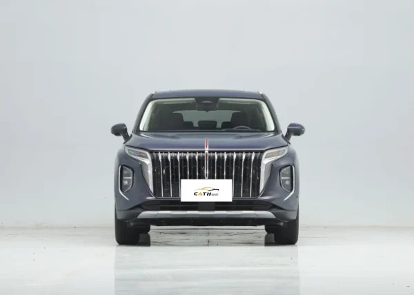 Hongqi HS7 алдыңкы бети