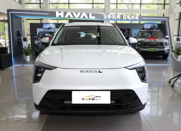 Haval Xionglong'un ön yüzü