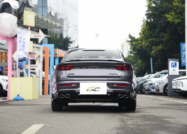 Geely Star Rui arrière de voiture