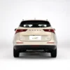 Haval H6 orqa