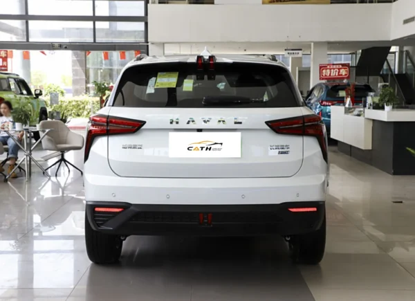 عقب ماشین Haval Xionglong